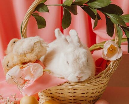 Geef Je Babykamer Een Persoonlijke Touch Met Deze Leuke DIY Projecten